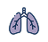 Respiratory toxicity & Asthmagens